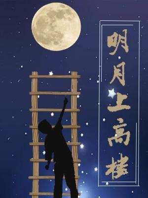 明月上高楼封面