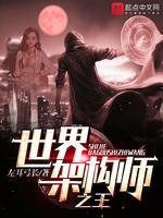 世界架构师之王封面