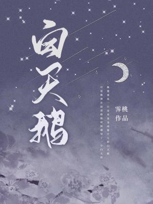 白天鹅封面