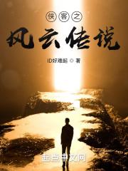 侠客之风云传说封面