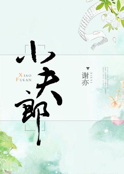 小夫郎封面
