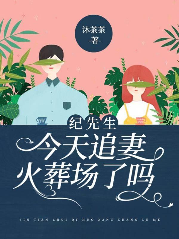 纪先生今天追妻火葬场了吗封面