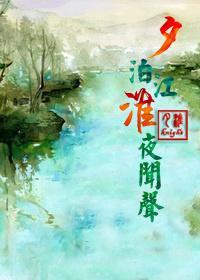 夕泊江淮夜闻声封面