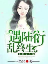 遇陆衍，乱终生封面