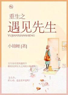 重生之遇见先生封面