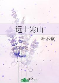 远上寒山封面