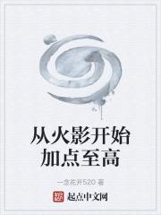 从火影开始加点至高封面