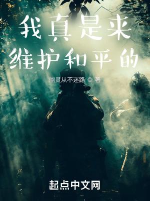 我真是来维护和平的封面
