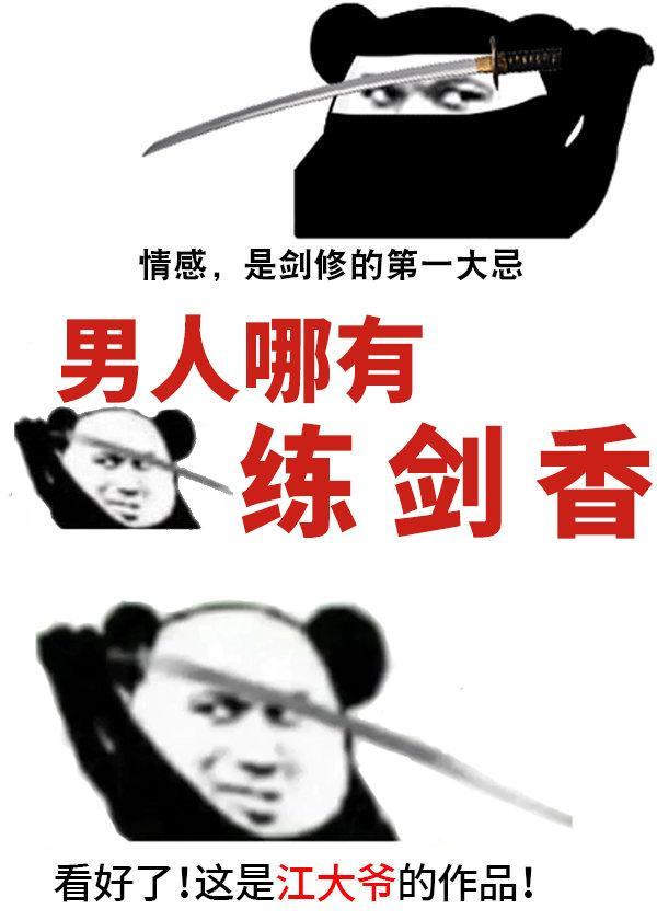 男人哪有练剑香封面