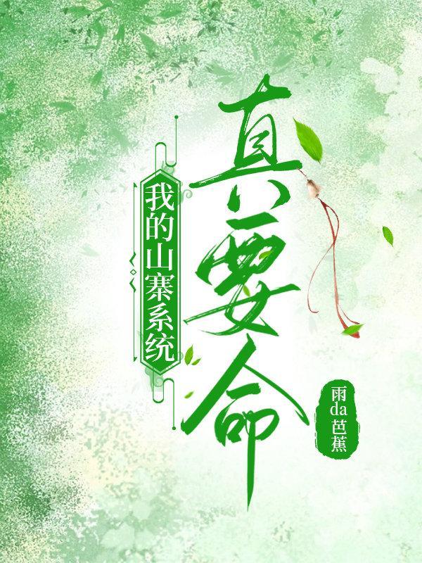 我的山寨系统真要命!封面