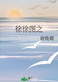徐徐图之封面