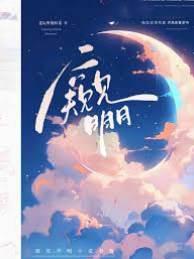 窥见月明封面