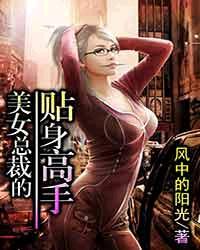 美女总裁的贴身高手封面