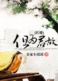 [红楼]但为君故封面