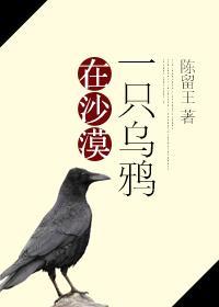 一只乌鸦在沙漠封面