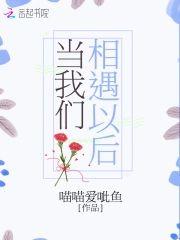 当我们相遇以后封面
