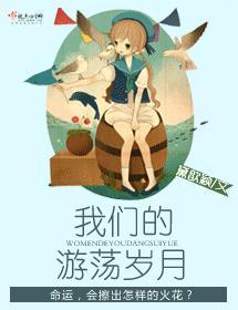 我们的游荡岁月封面