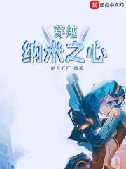穿越纳米之心封面