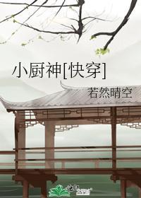 小厨神[快穿]封面