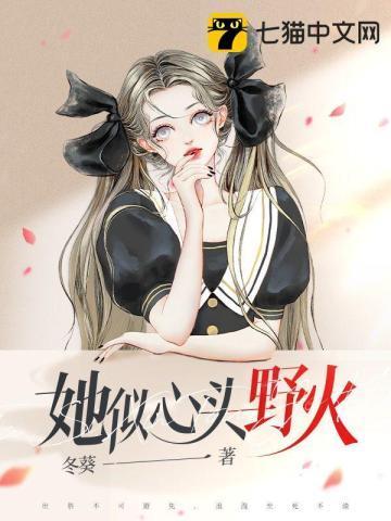 她似心头野火封面