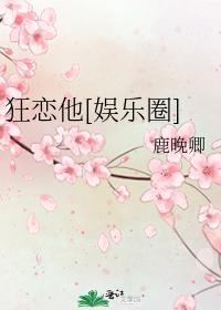 狂恋他[娱乐圈]封面