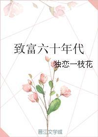 致富六十年代封面