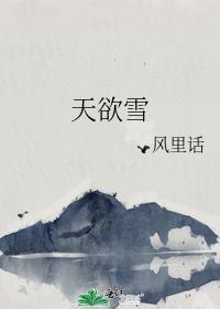 天欲雪封面