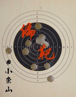 偏靶封面