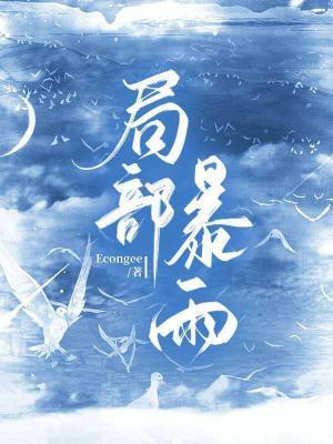 局部暴雨封面