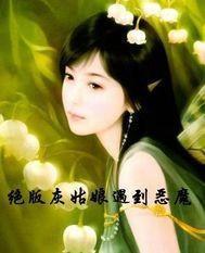 绝版灰姑娘遇到恶魔封面