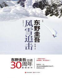 风雪追击封面