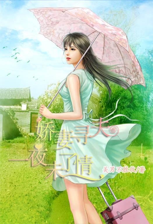 娇妻寻夫：一夜未了情封面