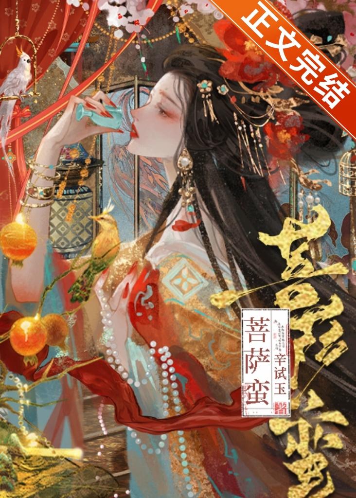 菩萨蛮封面