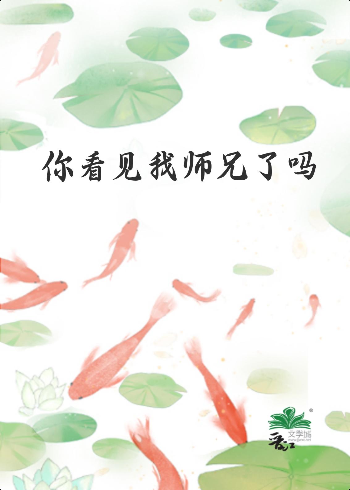 你看见我师兄了吗封面