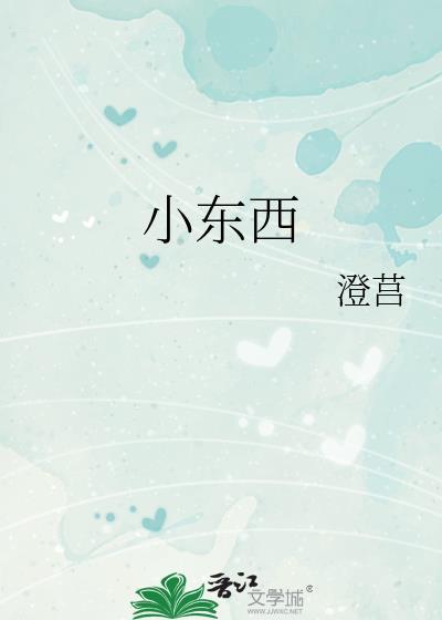 小东西封面