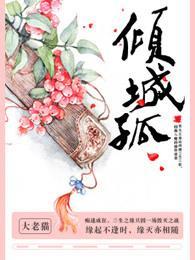 倾城孤封面