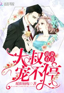 萌妻有毒：大叔宠不停封面