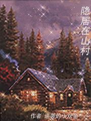 隐居在山村封面