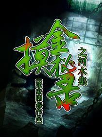 摸金秘录之河木集封面