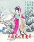 迷糊狐妖拐魔尊封面