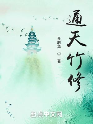 通天竹修封面