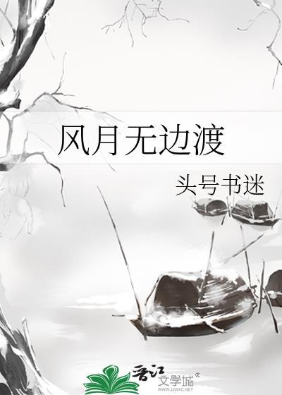 风月无边渡封面