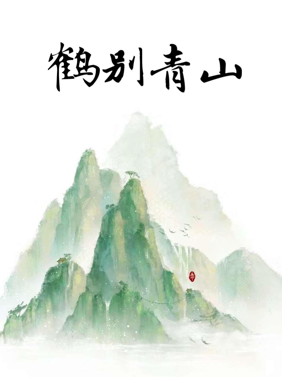 鹤别青山封面