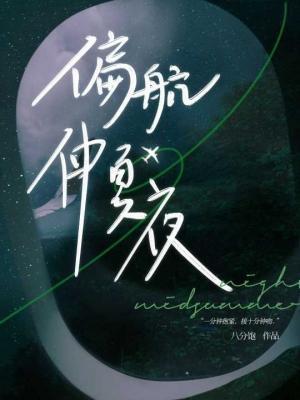 偏航仲夏夜封面