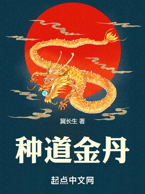 种道金丹封面