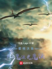 霍格沃兹：比魔法更魔法封面