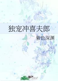 独宠冲喜夫郎封面