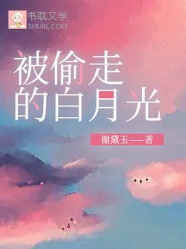 被偷走的白月光封面