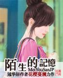 陌生的记忆封面