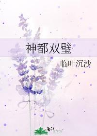 神都双璧封面